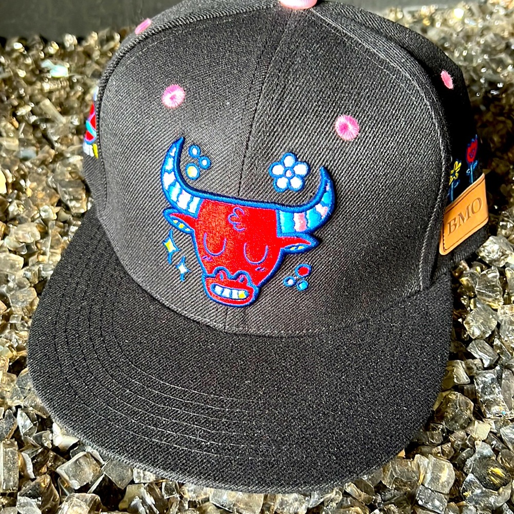 New Chicago Bulls hat or Cap